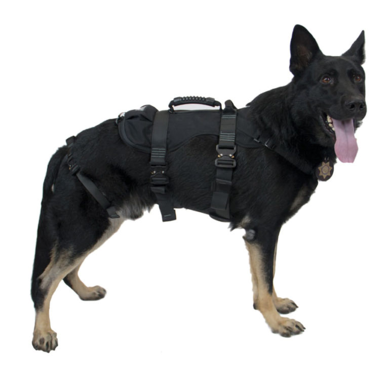 Shop Online For a K9 Search and Rescue Harness Rescue Northwest