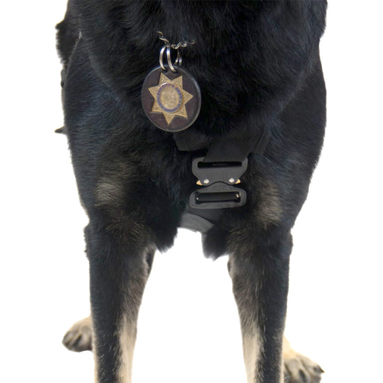Shop Online For a K9 Search and Rescue Harness Rescue Northwest